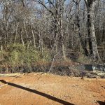 car_cal0057_010526_backyard-wooded-view-1
