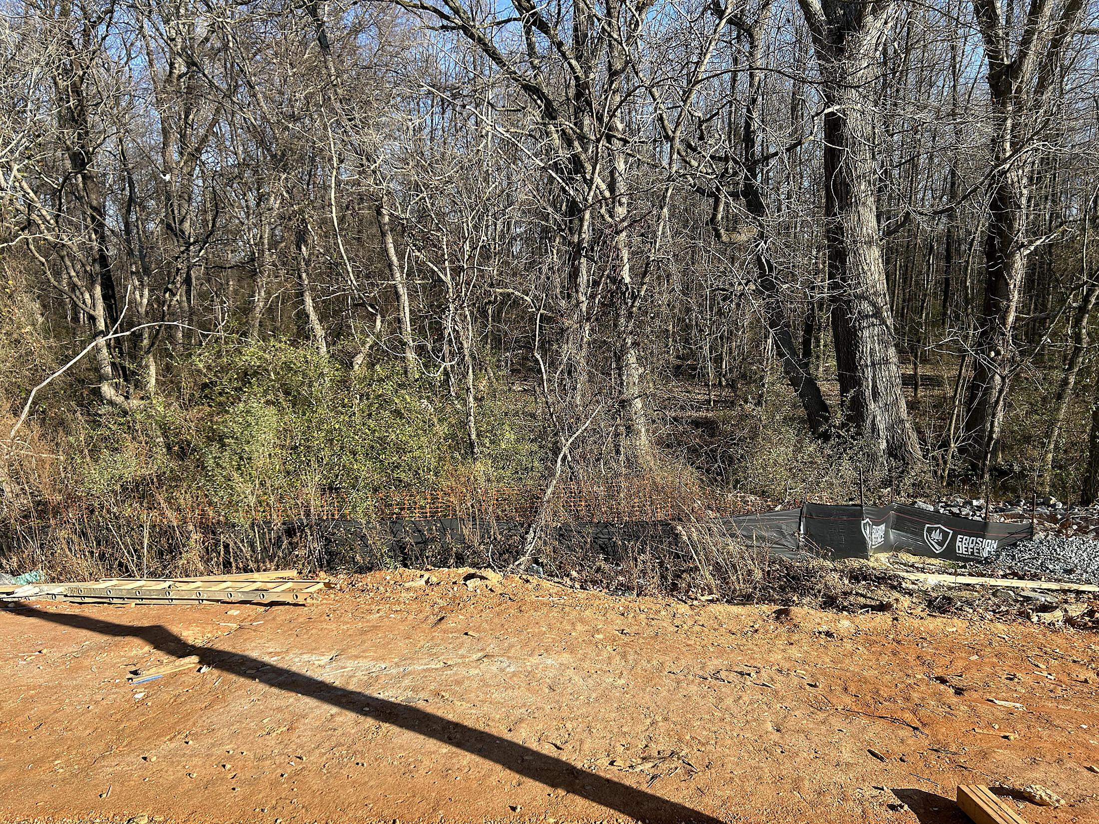 car_cal0057_010526_backyard-wooded-view-1
