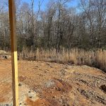 car_cal0065_010526_wooded-back-yard-view-1