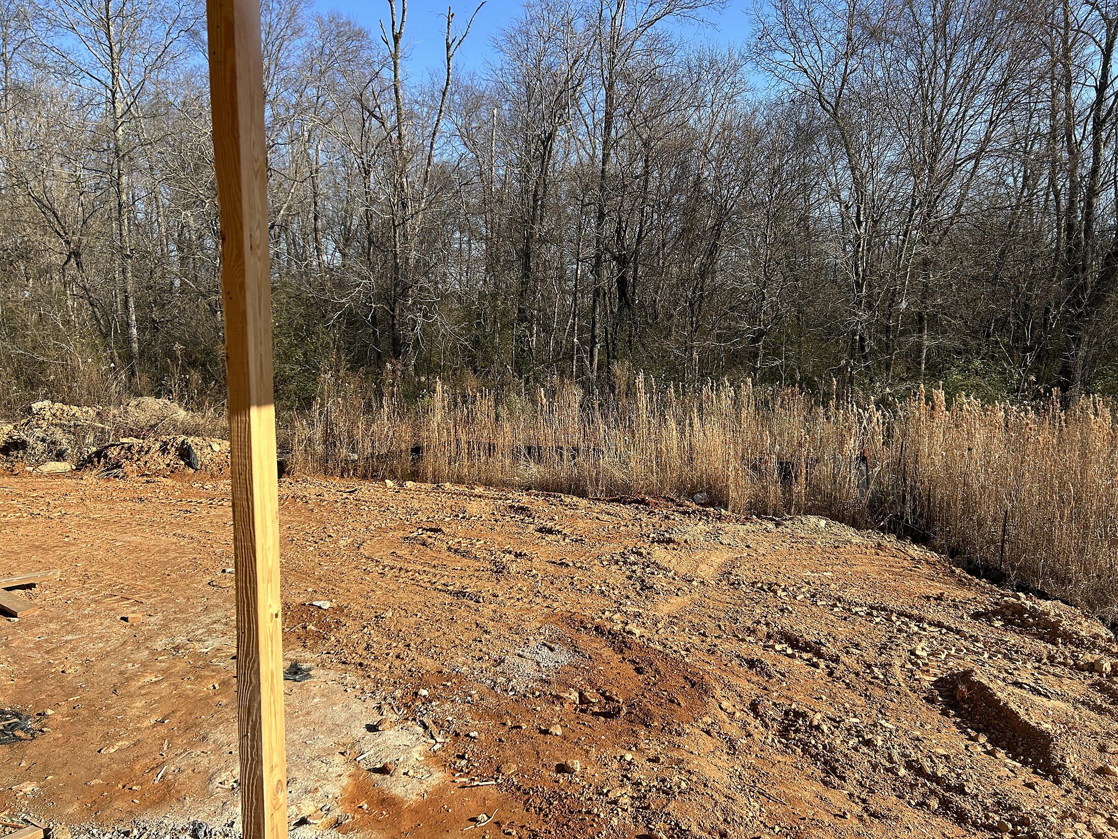 car_cal0065_010526_wooded-back-yard-view-1