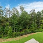 car-brx0052-081125-vt-28-view-from-terrace