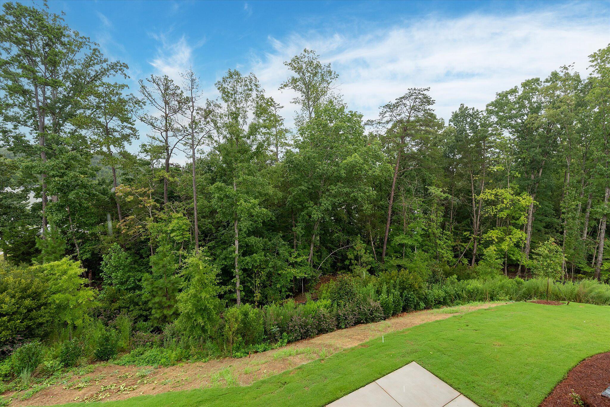 car-brx0052-081125-vt-28-view-from-terrace