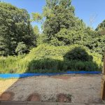 car_cal0060-070126-rear-view-of-back-yard-and-trees